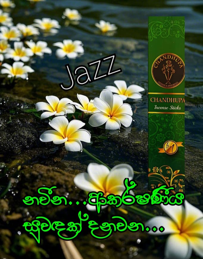 Sandalwood Incense