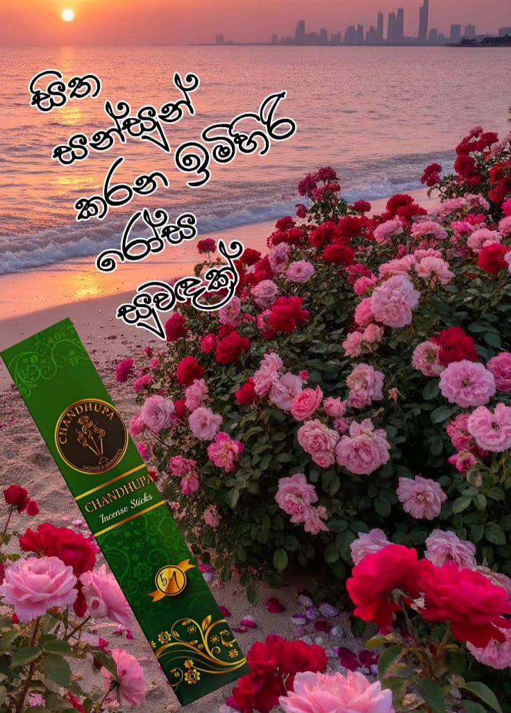 Sandalwood Incense